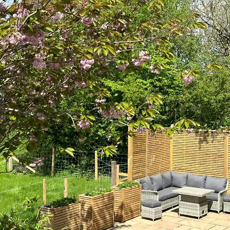 Vakantiehuis Ann's Hill *